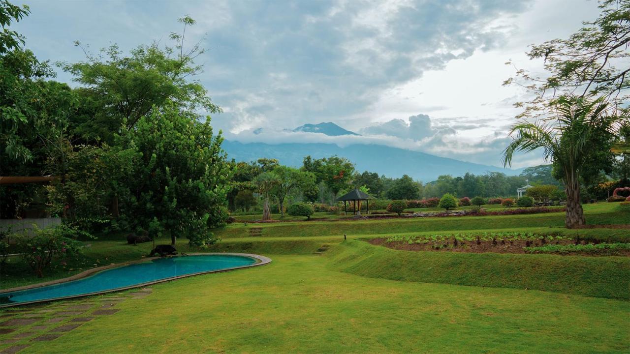 K Gallery Hotel Pasuruan Buitenkant foto