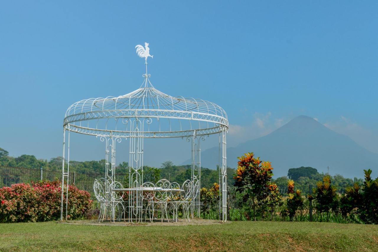 K Gallery Hotel Pasuruan Buitenkant foto