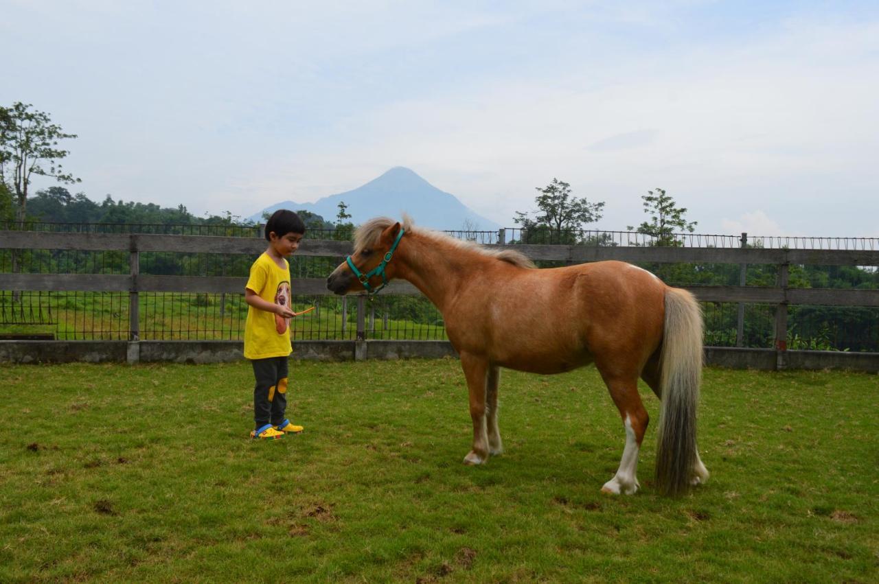 K Gallery Hotel Pasuruan Buitenkant foto